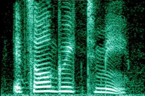 Archivo:Human voice spectrogram
