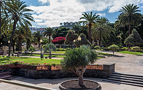 Las Palmas Gran Canaria January 2016-5722 - panoramio
