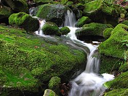Archivo:Las Trampas Waterfall