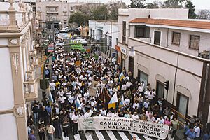 Archivo:ManifestacionSocorro