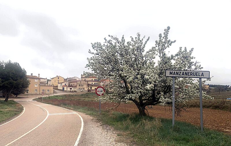 Manzaneruela-paisajeRrural(2024)1161