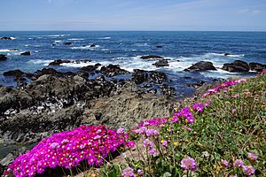Archivo:Mendocino Coast Botanical Gardens1