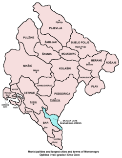 Archivo:Montenegro municipalities