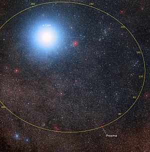 Archivo:Orbital plot of Proxima Centauri