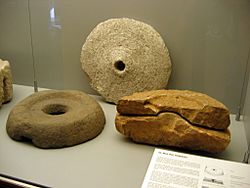 Archivo:Palencia Museo Arqueológico 007 Molinos