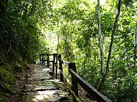 Archivo:Parque Nacional Guatopo Guárico