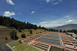 Archivo:Planta de potabilizacion Manantiales