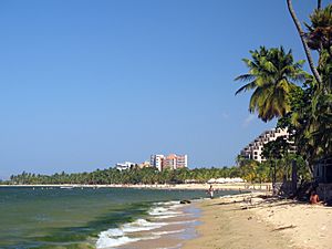 Archivo:Playa San Luis
