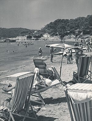 Archivo:Playa de Palmanova (Mallorca) (18194983349)
