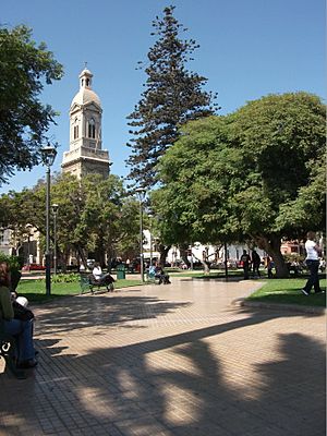 Archivo:Plaza Mayor de La Serena con vista a la Catedral