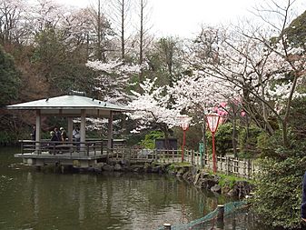 Archivo:Prunus sp in Takaoka Kojo Park 09