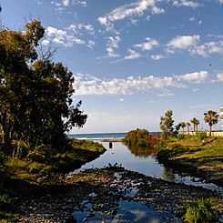 RIO GUADAIZA DESEMBOCADURA.jpg