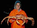 Redkingcrab