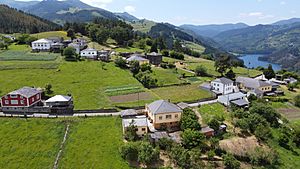 Archivo:Silvón en Boal
