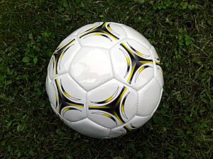 Archivo:Soccer ball on ground