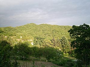 Archivo:Sopka in south Sikhote-Alin