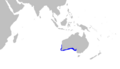 Sutorectus tentaculatus distmap
