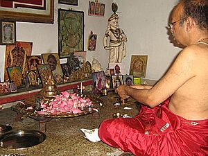 Archivo:Svu kerala