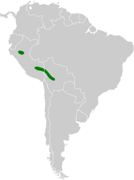 Thamnophilus subfasciatus map