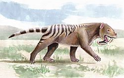Thylacosmilus-bpk.jpg