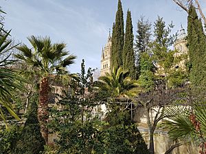 Archivo:Torres de la Catedral Nueva desde el "jardín romántico mediterráneo"