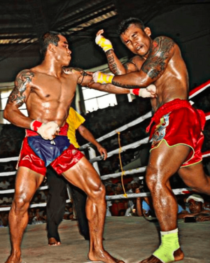 Archivo:Tway Ma Shaung fighting Saw Shark in Myanmar