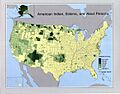 US Census 1990 americanindian