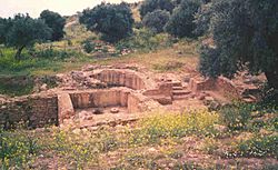 Archivo:Villa romana de lacimurga