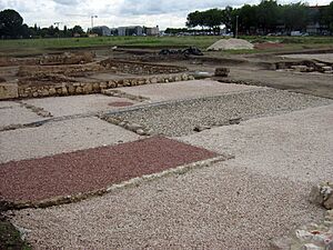 Archivo:Yacimiento arqueológico de Complutum 1
