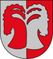 AUT St. Leonhard im Pitztal COA