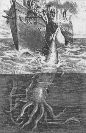 Archivo:Alecton giant squid 1861