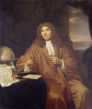 Archivo:Anthonie van Leeuwenhoek (1632-1723). Natuurkundige te Delft Rijksmuseum SK-A-957