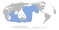 Ardenna carneipes map