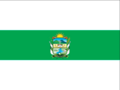 Bandera de San José De Minas