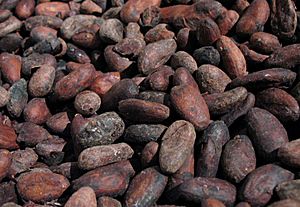 Archivo:Cacao-roasted