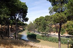 Archivo:Canal Imperial de Aragón (Pinares de Venecia)