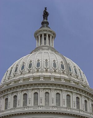 Archivo:Capitol, Washington, D.C. USA8