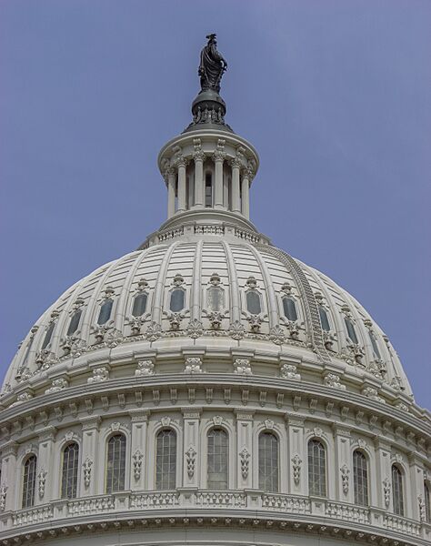 Capitol, Washington, D.C. USA8