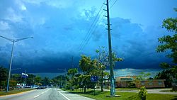 Carretera PR-149, Manatí, Puerto Rico (1).jpg