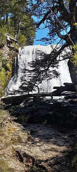 Cascada Ñivinco