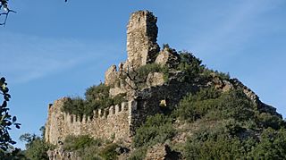 Castell de Mont-roig (Darnius).JPG
