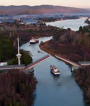 Cau Cau Valdivia.jpg