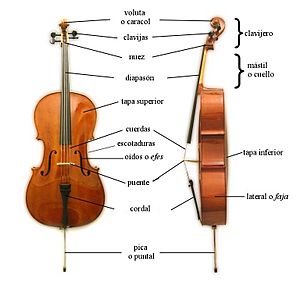 Archivo:Cello Partes