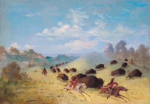 Archivo:Comanche Indians Chasing Buffalo with Lances and Bows