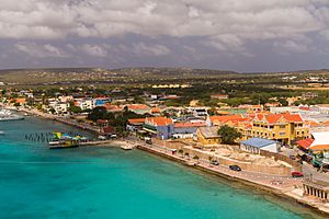 Archivo:Crystal Clear waters of Bonaire (13256547653)