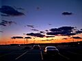 Flickr - Nicholas T - Gradation (1)