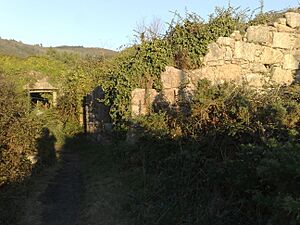Archivo:Interior do castelo de San Cristobal