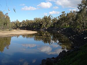 Archivo:Le Murrumbidgee à Wagga Wagga