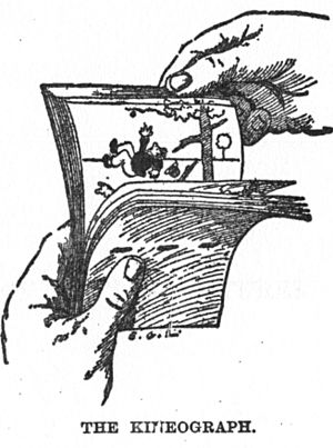 Archivo:Linnet kineograph 1886
