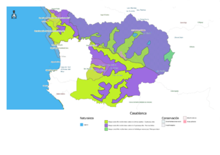 Archivo:Medio ambiente de Chile (2023) - comuna de Casablanca